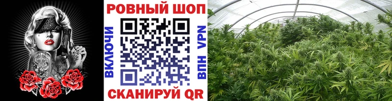 Купить закладку Тюмень ГАШИШ Бошки Шишки Меф