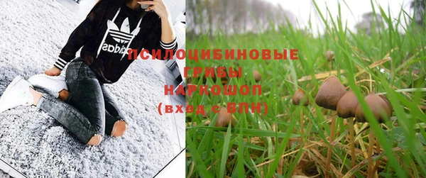 бошки Абинск