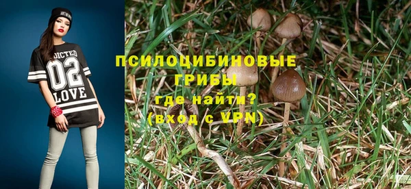 бошки Алексин